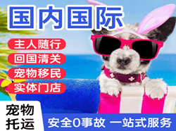 布拉克空运地址国际宠物托运 【国